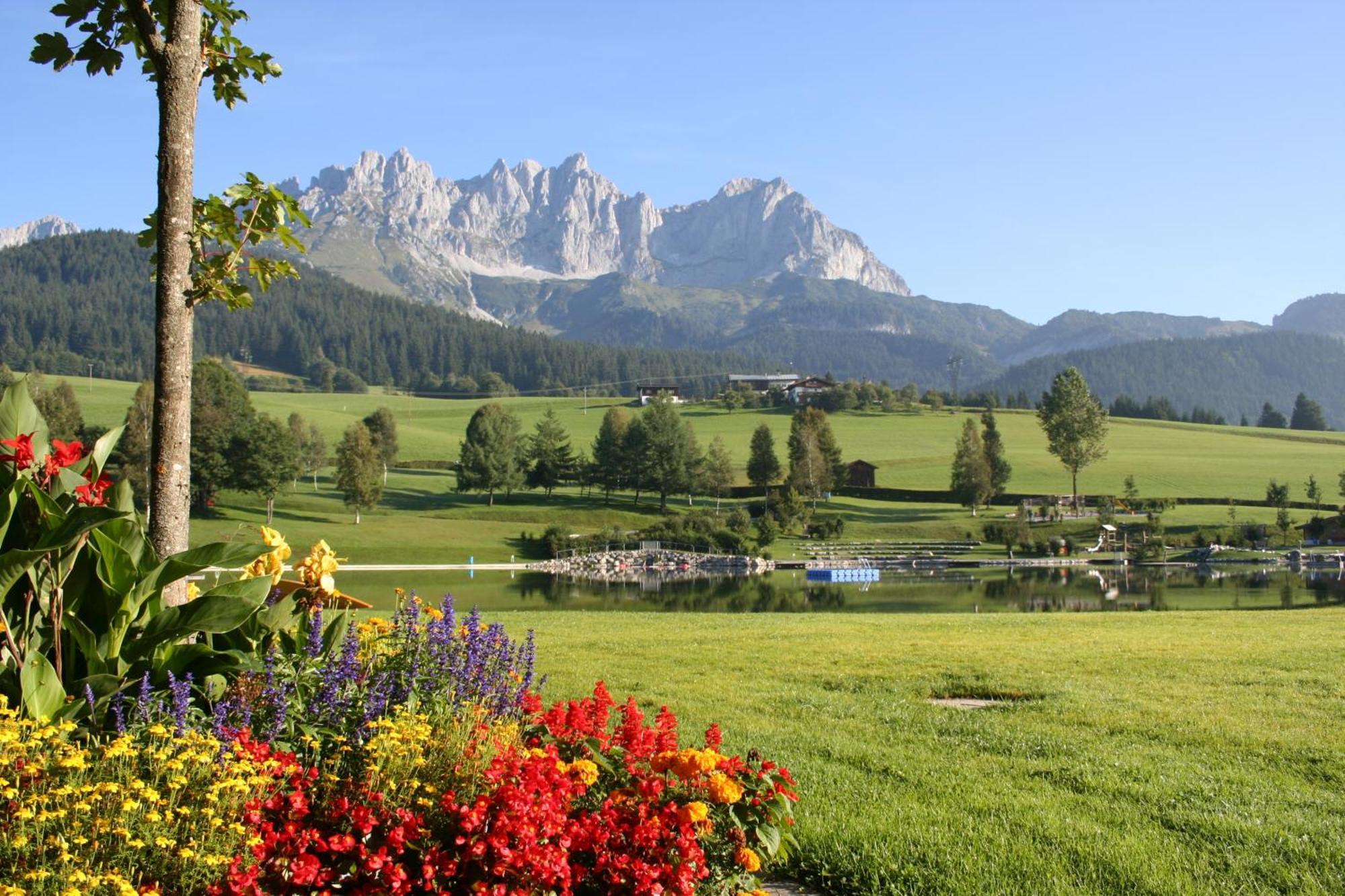 Appartement Claudia Going am Wilden Kaiser Exteriör bild